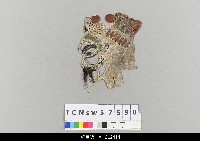 藏品(中國湖北皮影戲偶頭-淨)的圖片